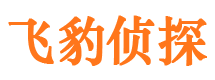 皇姑调查公司